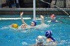 WWPolo vs CC  Wheaton College Women’s Water Polo compete in their sports inaugural match vs Connecticut College. - Photo By: KEITH NORDSTROM : Wheaton, water polo, inaugural